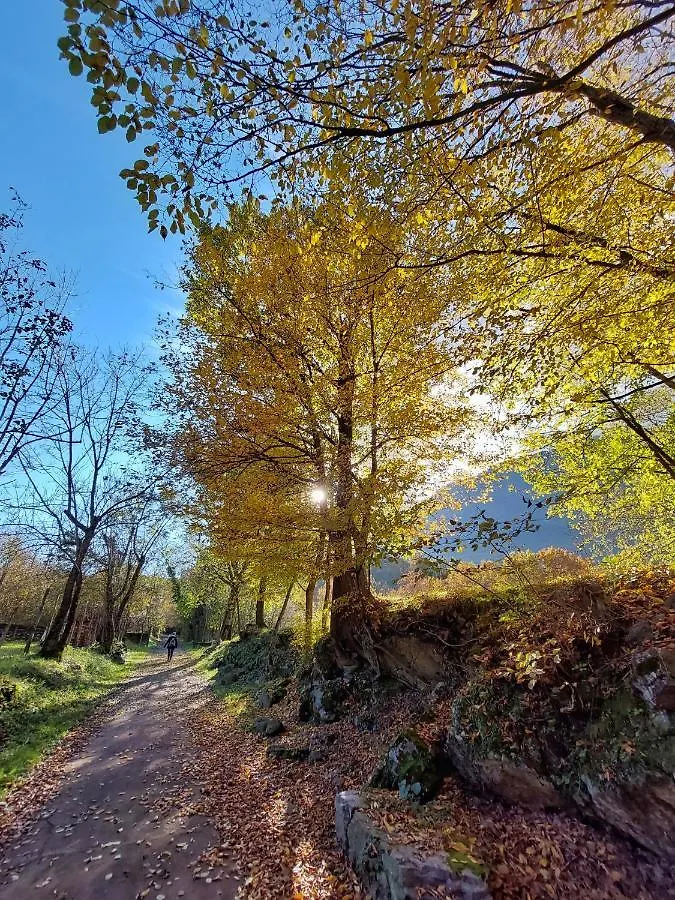Campeggio Villaggio Turistico Il Lago Dorato Carlazzo